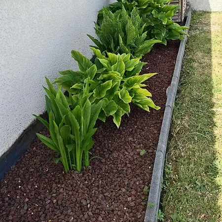 Petite Maison En Pleine Campagne Semesterbostad *